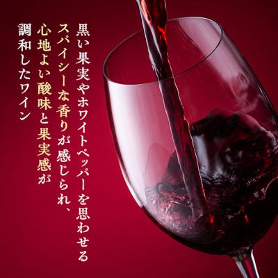 ふるさと納税 上田市 椀子シラー 750ml シャトー・メルシャン シラー 赤ワイン[54040420] |  | 01