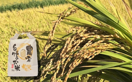 八女産ヒノヒカリ 5kg！ 清流矢部川と大地の恵み 米 白米 ご飯 粘り 甘み コク  026-001