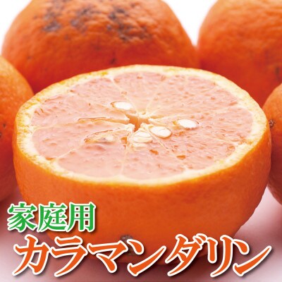 ＜4月より発送＞家庭用 カラマンダリン5kg+150g(傷み補償分)【訳あり】【春柑橘】【配送不可地域：離島・北海道・沖縄県】