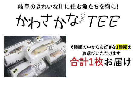魚好きの人へ！かわさかなTEE Tシャツ ユニセックス メンズ レディース アウトドア 半袖 川魚 さかな 岐阜市 / スポット[ANGD001]