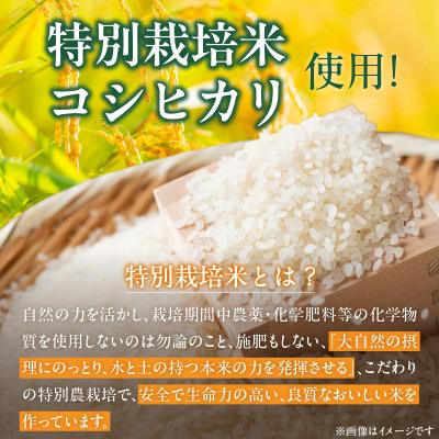 ふるさと納税 天草市 【令和8年産】特別栽培米　健幸米20kg(5kg×4袋)_S067-027 |  | 01