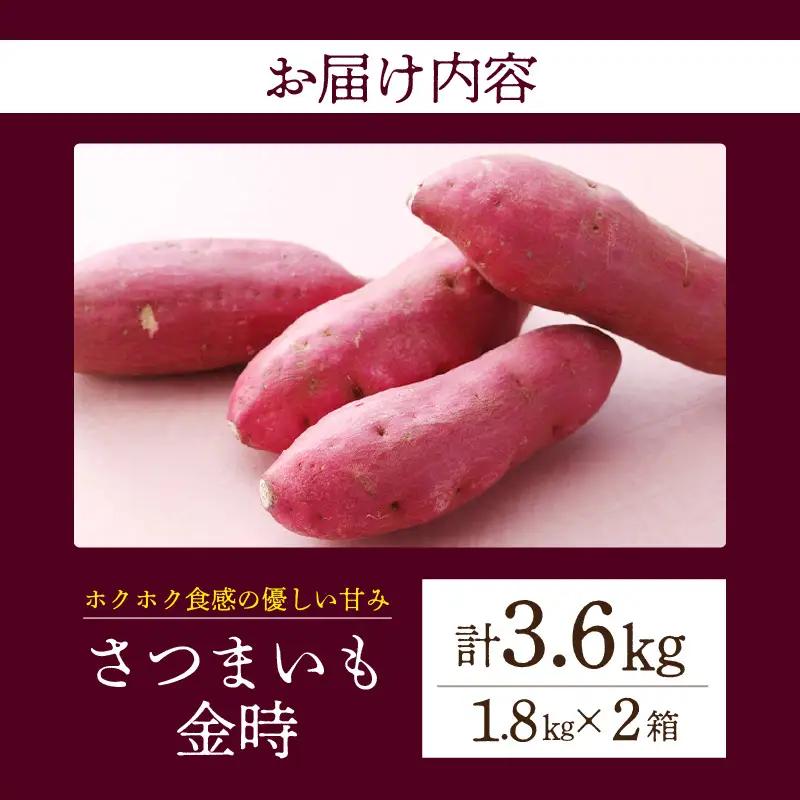 【ホックホク食感の優しい甘み】さつまいも金時 1.8kg 2箱・H115