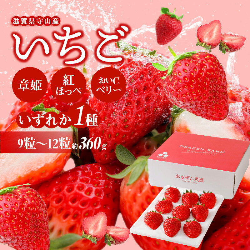 【ふるさと納税】【2026年2月からお届け】いちご 守山産 1ホール 9粒 ～ 12粒 約 360g 章姫 紅ほっぺ おいCベリー 人気の品種 やわらかい 甘い 濃厚 ずっしり丸い 酸味 おいしい フルーツ 果物 お取り寄せ お取り寄せフルーツ 送料無料