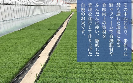 【令和7年産先行予約】 山形県庄内産　特別栽培米ササニシキ 精米 10kg （10kg ×1袋）　野々ファーム