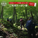 【ふるさと納税】 北杜 登山 ツアー 甲斐駒ヶ岳 七丈小屋 利用券 クーポン券（3000円相当） 体験