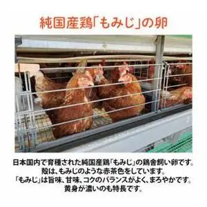 【卵】純国産鶏【さくらともみじ】純たまご 30個入り (AJ031) 鶏卵 食べ比べセット