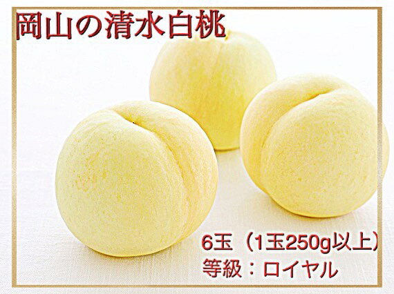 【ふるさと納税】【令和7年発送・先行予約】岡山県産　清水白桃（1玉250g以上）6玉　等級：ロイヤル　化粧箱入り　Hz-1
