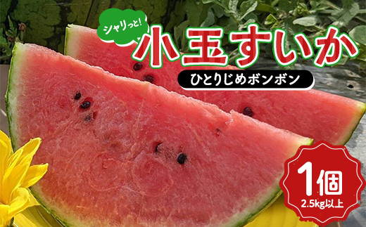 
            シャリっと！小玉すいか （ひとりじめボンボン） 2.5kg以上 1個  スイカ すいか 西瓜 デザート フルーツ 果物 くだもの 果実 食品 山形県 FSY-1303
          
