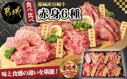 
宮崎牛赤身6種 合計約600g_16-2601_(都城市) 牛肉 ウデミスジ ウデ三角 ウデクリ とうがらし ウデ赤身 ウデカルビ 約100g 計600g 6種類セット赤身
