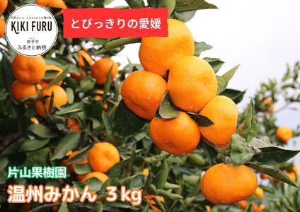 ＜とびっきりの愛媛 温州みかん 約2kg（家庭用大小混合）＞ 訳あり 家庭用 果物 柑橘 フルーツ 蜜柑 うんしゅうみかん ウンシュウミカン 特産品 片山果樹園 食べて応援 西宇和 愛媛県 西予市【常温】『2024年11月下旬～12月迄に順次出荷予定』MKK0006