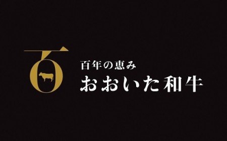 「おおいた和牛」サーロインステーキ(180g×2枚)×2セット | 豊後高田市 サーロイン