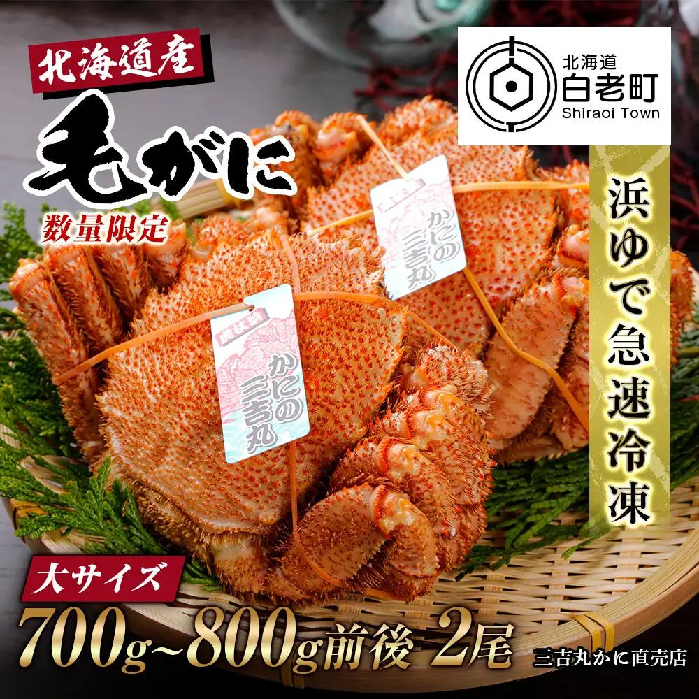 【大サイズ】北海道産 冷凍ボイル毛ガニ (700g-800g前後) 2尾 AS193