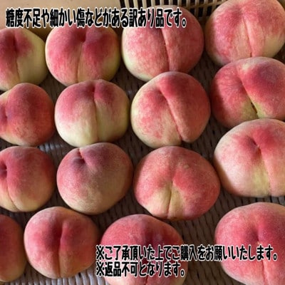 【2026年先行受付】訳あり桃!3kg前後 B品 ご家庭用 加工用に!【配送不可地域：離島】