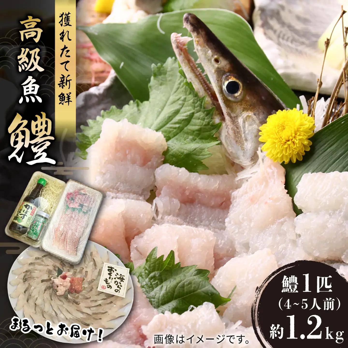 はも 一本 約1.2kg 4~5人前 VAL001 鱧しゃぶ 鱧刺身 はも