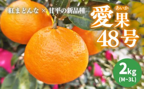 あいか 愛果48号 2kg 【3月下旬から発送予定】 家庭用 期間限定 愛媛県産 みかん 蜜柑 オレンジ 柑橘 果物 フルーツ 家庭用 おすすめ 愛媛県 松山市 FT101 希望の島