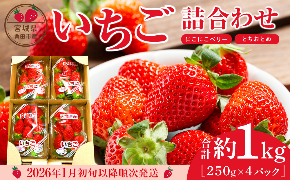 【先行予約】【JAみやぎ仙南】宮城県角田市産いちご　にこにこベリー・とちおとめ詰合せ　合計約1kg（250g×4パック）【2026年1月初旬より順次配送】