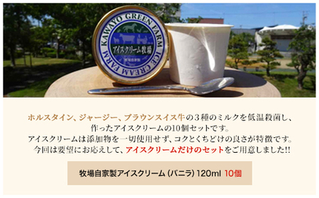 カワヨグリーン牧場自家製バニラアイス10個セット 【 ふるさと納税 人気 おすすめ ランキング 10個 セット アイスクリーム アイス バニラ バニラアイス 人気 牧場 ミルク ホルスタイン ジャージ