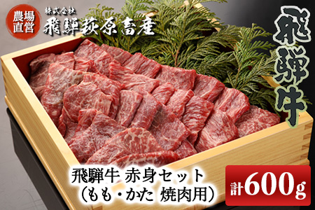 【年内順次発送】飛騨牛赤身焼肉セット 600g（もも焼肉 300g・かた焼肉 300g）最高級 国産 牛肉 ブランド牛 和牛 年内配送 年内発送 年内に届く 年内お届け【22-27n】【冷凍】