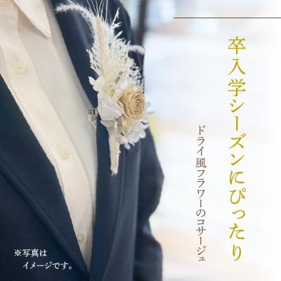 ふるさと納税 小牧市 ドライ風フラワーコサージュ(ホワイト系)　[133O15-04] |  | 01