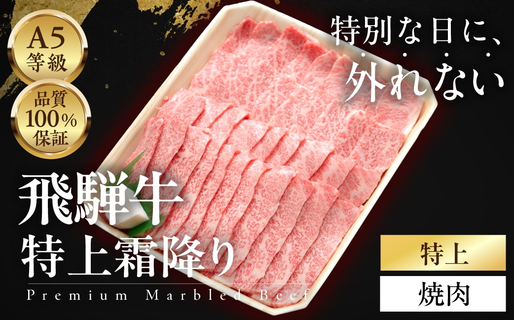 
                  【内容量選べる】≪品質100%保証≫ A5等級 飛騨牛  特上霜降り焼肉  1kg/ 500g/ 300g 焼肉 和牛 A5 最高級 最高級 牛肉 雌牛 メス牛 雌牛 メス牛 国産牛 霜降り 高級肉 ギフト 贈答用 お歳暮 お中元 内祝い 誕生日
                