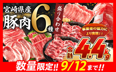 【令和7年3月配送】数量限定 豚肉 6種 盛り合わせ セット 合計4.1kg 豚 小分け 豚バラ 豚ロース 豚こま 国産 食品 人気 おかず 焼肉 しゃぶしゃぶ 豚丼 食べ比べ 料理に大活躍 使い勝手抜群 選べる配送月 ミヤチク 送料無料_CA51-24-03