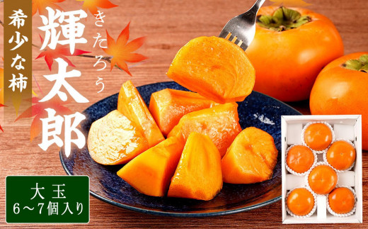 
            希少な柿【輝太郎】大玉6個～7個 コクのある甘さ！こだわり農家厳選【2025年10月初旬頃から10月下旬頃順次発送】【KG24】
          