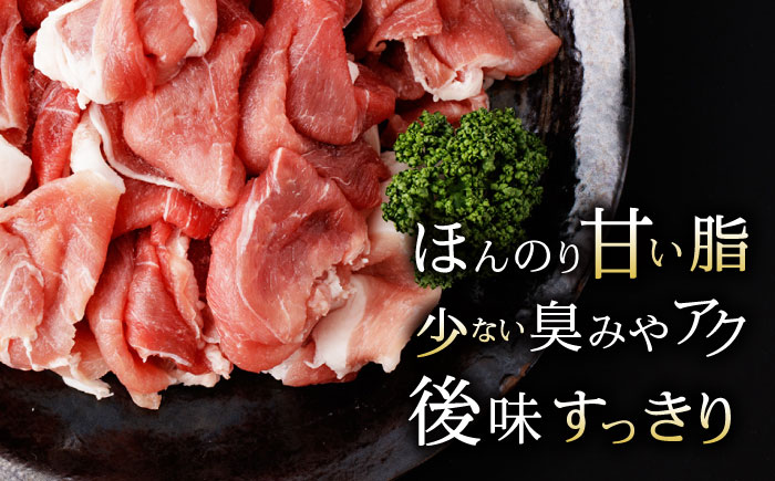 【3回定期便】豚肉切り落とし2.1kg!諫早平野の米で育てた諫美豚 / 諫美豚 豚肉 切り落とし 肉 豚 お肉 国産 人気 スライス / 諫早市 / 株式会社土井農場 [AHAD013]