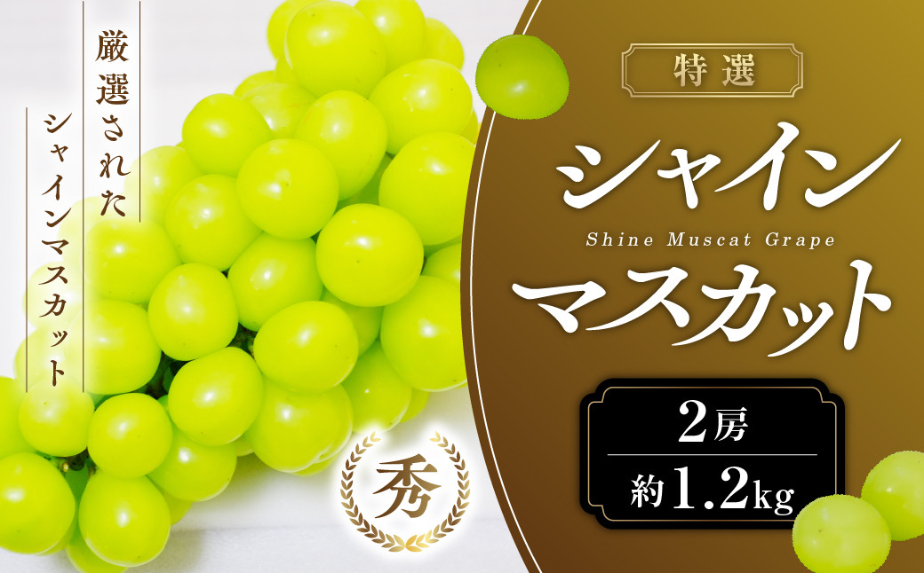 
                  【2026年発送】 特選 シャインマスカット 2房 約1.2kg 先行予約 先行 予約 山梨県産 産地直送 フルーツ 果物 くだもの ぶどう ブドウ 葡萄 シャイン シャインマスカット 新鮮 人気 おすすめ 国産 贈答 ギフト お取り寄せ 山梨 甲斐市 AN-129
                
