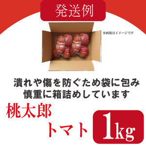 【2026年12月発送】 桃太郎トマト 約1kg 先行予約 トマト