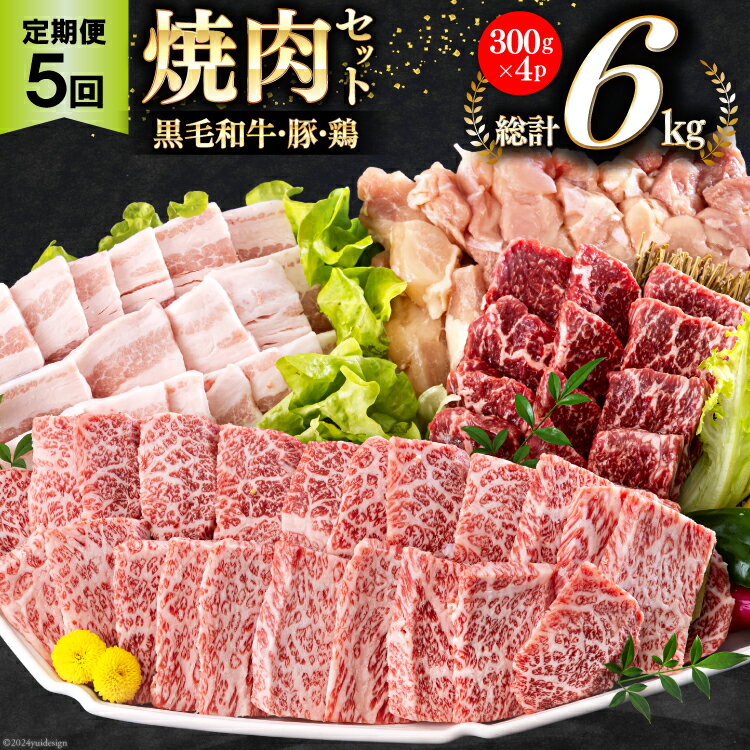 【ふるさと納税】牛肉 5回 定期便 宮崎県産 焼肉 セット 黒毛和牛 モモ カルビ 豚バラ 若鶏 モモ 各 300g 計 6kg [サンアグリフーズ 宮崎県 美郷町 31ba0036-NEW] 小分け 冷凍 国産 詰め合わせ 経産牛 もも肉 モモ 牛 豚 鶏