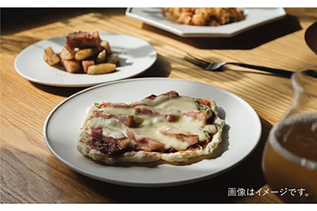 【波佐見焼】デルフト皿 プレート 21cm 白マット釉 2枚セット 食器 皿 【イロドリ】 [KE26] 波佐見焼