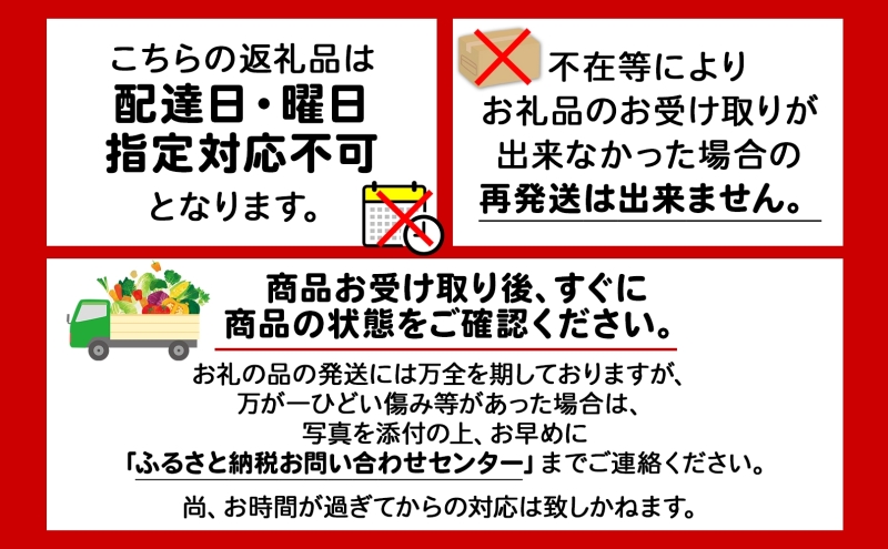 令和7年産 北海道産 ゆめぴりか 精米 5kg×2袋 計10kg お米 米 