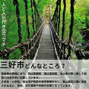 すだち 酢 200ml 4本 すだち酢 果汁 すだち 酢 酢 酢
