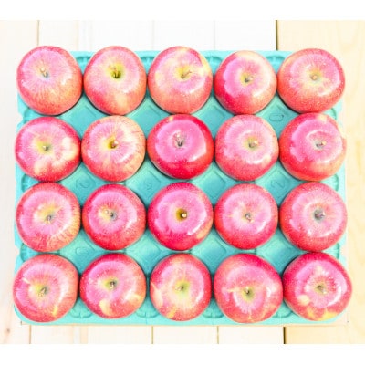 【26年1月より順次発送】平均糖度13度以上! サンふじ 約5kg 贈答【配送不可地域：沖縄県】【1611181】