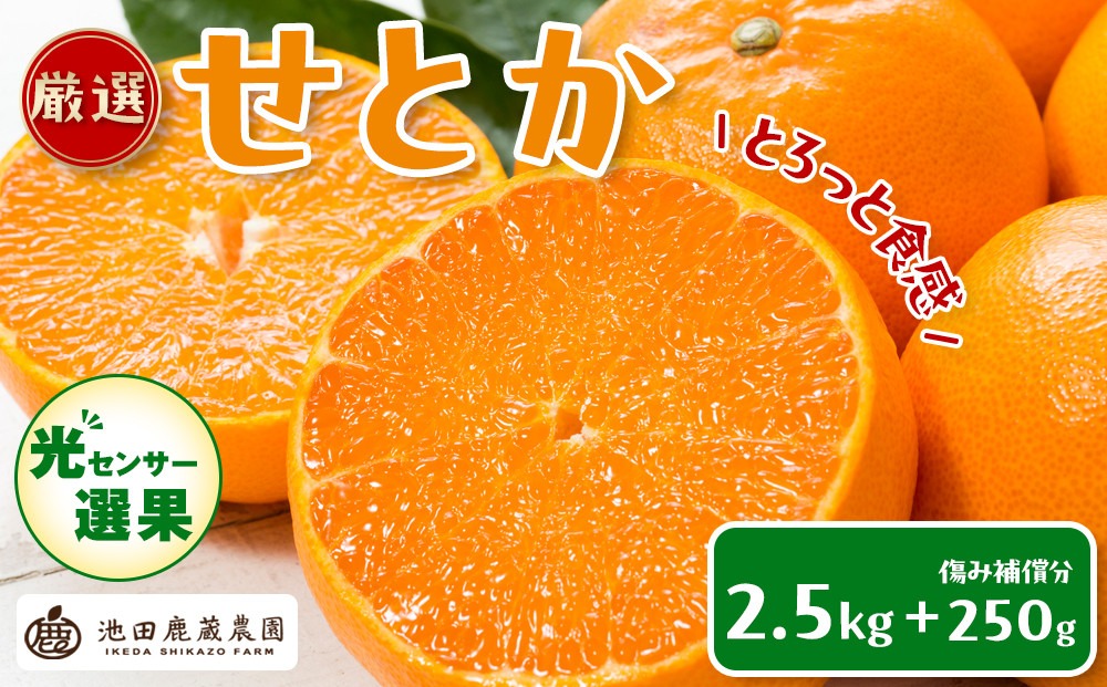 ［先行予約］厳選 せとか2.5kg+250g（傷み補償分）［柑橘・春みかんの王様］［光センサー選果・食べ頃出荷］［IKE61w］  CZ049