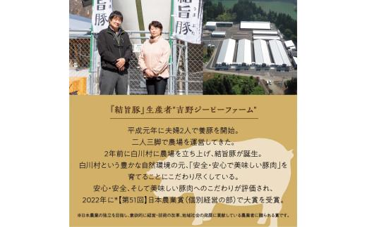 飛騨牛 結旨豚 スライスセット 計800g 赤身スライス 300g ローススライス 500g 冷凍 真空パック 黒毛和牛 ｜ 飛騨牛 すき焼き 牛肉 すき焼き 飛騨牛 しゃぶしゃぶ しゃぶしゃぶ 牛肉 牛肉 赤身 飛騨牛 赤身 豚肉 しゃぶしゃぶ 豚肉 すき焼き 豚肉 スライス 牛肉 豚肉 食べ比べ 和牛 飛騨牛 結旨豚 ブランド豚 結旨豚 豚肉 ブランド豚 鍋 白川郷 【MS020】