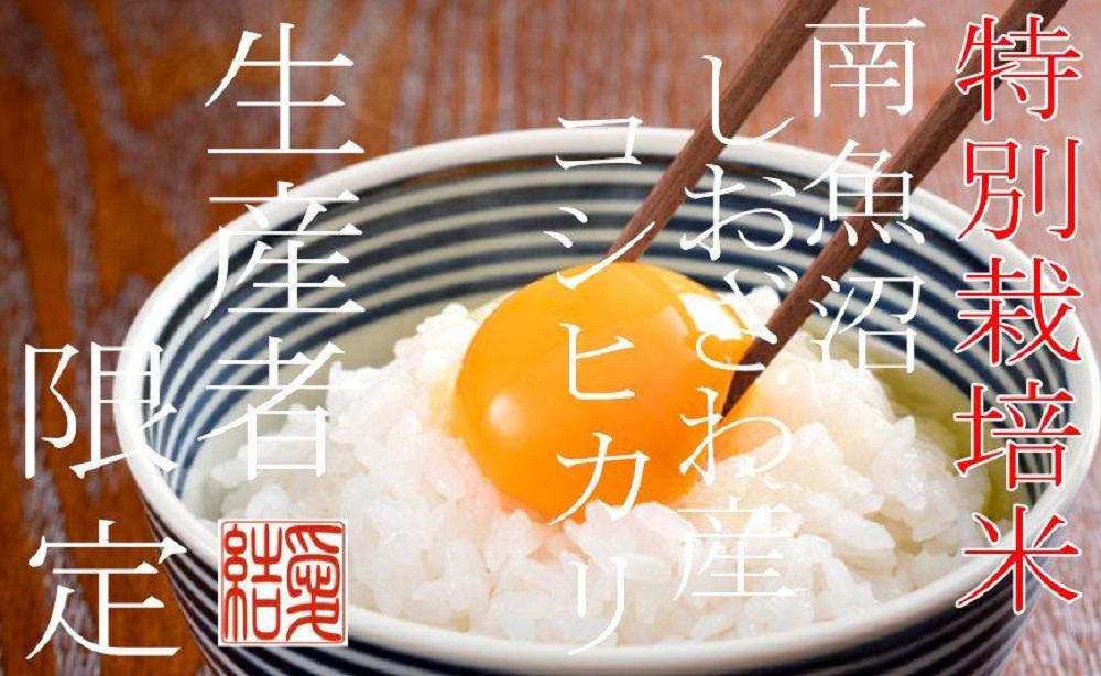 【令和7年産】【定期便4Kg×3ヶ月】【特別栽培米】 契約生産者限定  南魚沼しおざわ産コシヒカリ【2025年10月上旬より順次発送予定】