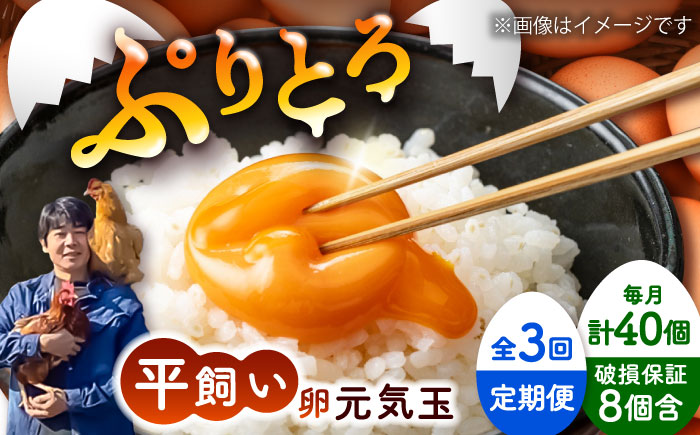 【全3回定期便】平飼い新鮮たまご 元気玉 計40個(10個×4パック) / 卵 ぷりぷり 新鮮 玉子 オムレツ たまごかけごはん 朝食 平飼い 濃厚 こく 熊本県 菊陽町【ぴよっこファーム】 [BHAP006]