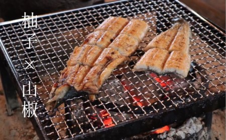 いのや。の3色柚子胡椒セット(赤・黄・緑 各色60g)【ボックス付】×3※配送不可:離島