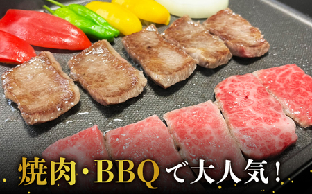 【全国有数のブランド牛】佐賀牛 上カルビ 500ｇ【がばいフーズ】[HCS006]