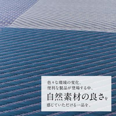 ふるさと納税 八代市 い草を使って織り上げたラグ『DXモーニング』191cm×191cm:ネイビー_022-6490 |  | 01