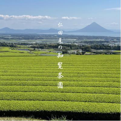 ふるさと納税 南九州市 【令和8年産 新茶予約 自宅用】知覧茶園の深むし茶2本セット「金・吟」 |  | 02