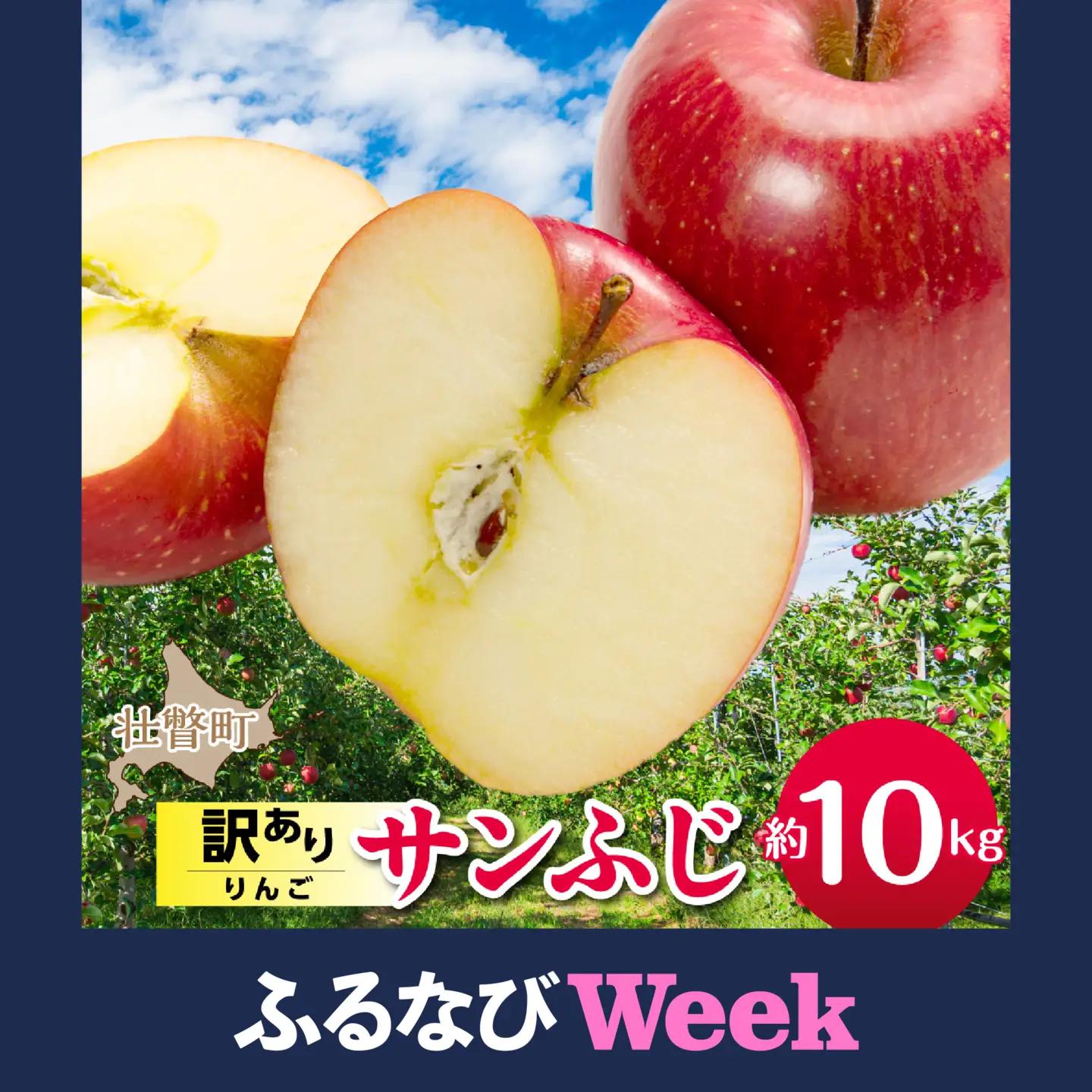 【ふるなびWEEK対象】【先行予約】＜2026年12月上旬よりお届け＞北海道壮瞥町　【訳あり】りんご　品種名「サンふじ」約10kg SBTF030