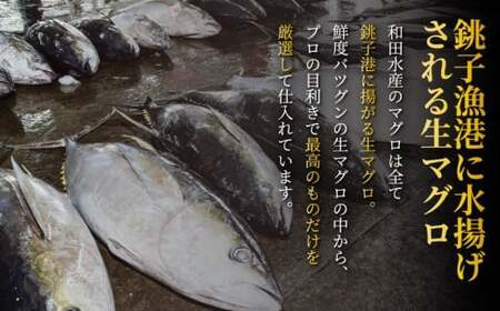中落ちまぐろ 約1.1kg まぐろ
