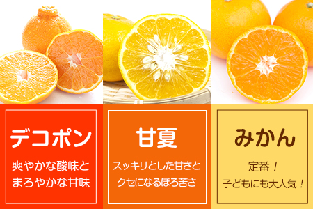 くまもとの果実巡り 3種入り各4個入り 計12個入り《60日以内に出荷予定(土日祝除く)》熊本県 葦北郡 津奈木町 あしきた農業協同組合 JAあしきた 柑橘 デコポン 甘夏 みかん 柑橘 ゼリー 3種