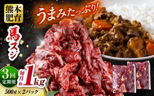 【全3回定期便】 馬スジ 計3kg 1回あたり1kg（500g×2パック） / 肉 お肉 馬肉 スジ 筋 煮込み 冷凍 馬スジ 馬すじ 馬 肉 すじ肉 煮込み 熊本県 合志市【五右衛門フーズ熊本店】 [AYBV031]