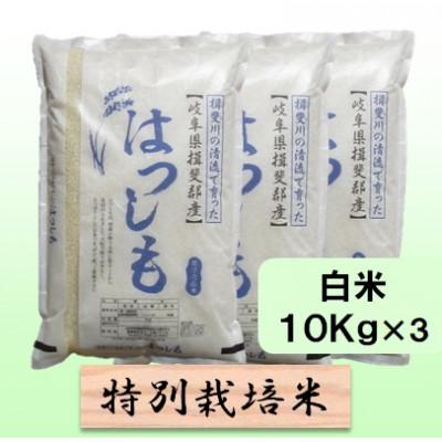 ふるさと納税 池田町 【令和7年産】特別栽培米 30kg【白米】(ハツシモ)