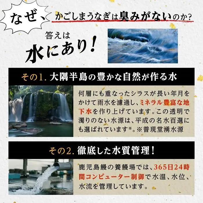 うなぎ 蒲焼 200g×2尾【鹿児島産】地下水で育てた絶品鰻｜国産 うなぎ 鰻 蒲焼 かばやき 魚 魚介 魚貝 海鮮 うな重 ひつまぶし ギフト 人気 おすすめ 土用丑の日 大崎町 大隅半島
