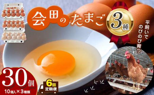 【定期便6回】会田のたまご3種詰め合わせ 30個 （1パック10個入り×3種類) ｜ ふるさと納税 信州 鶏 卵 たまご 温泉卵 長野県 松本市 美味しい