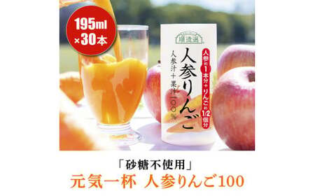 砂糖不使用 人参りんご 195g×30本 順造選｜にんじんジュース [0429ch]